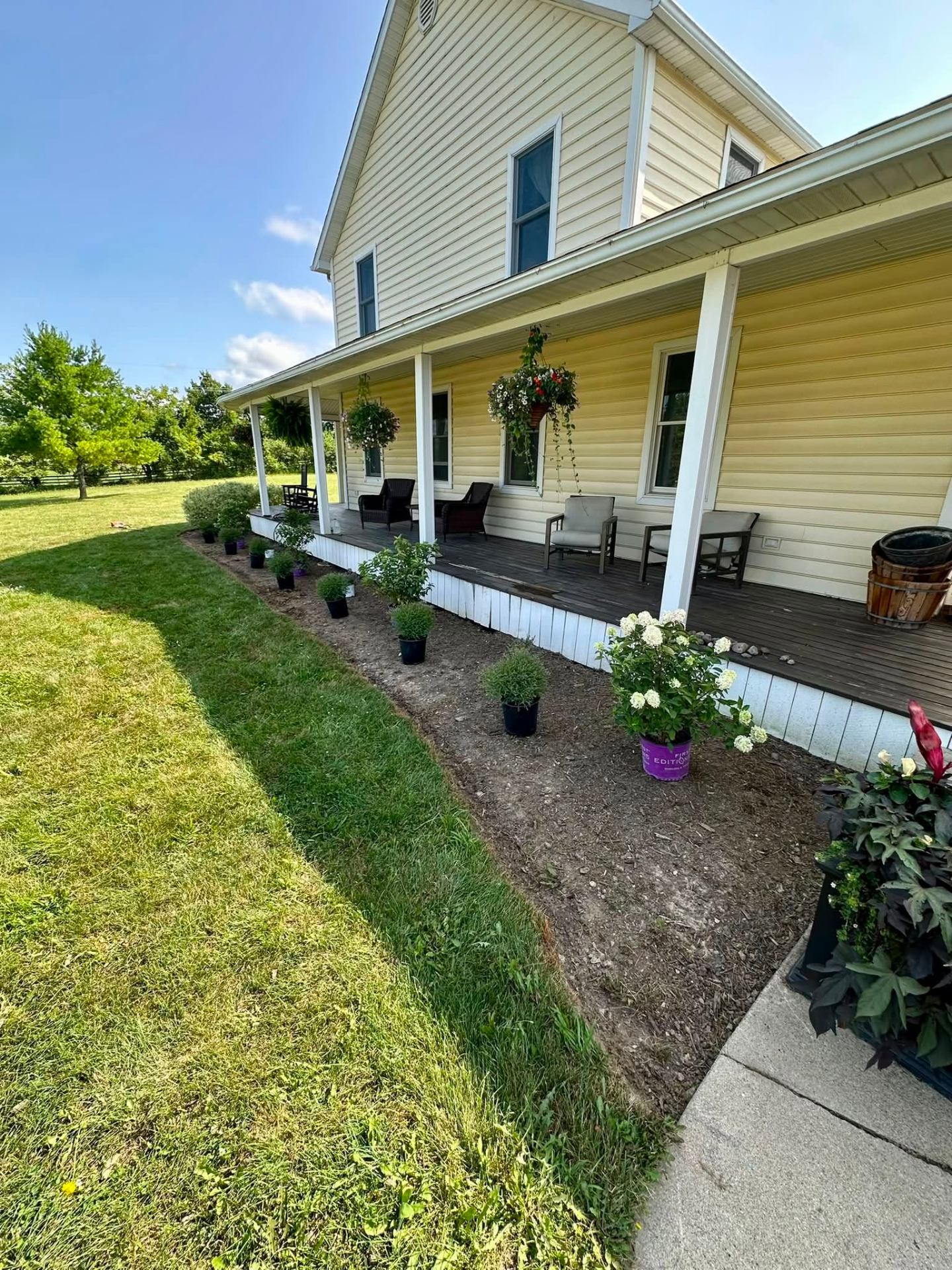 Front porch shrub install