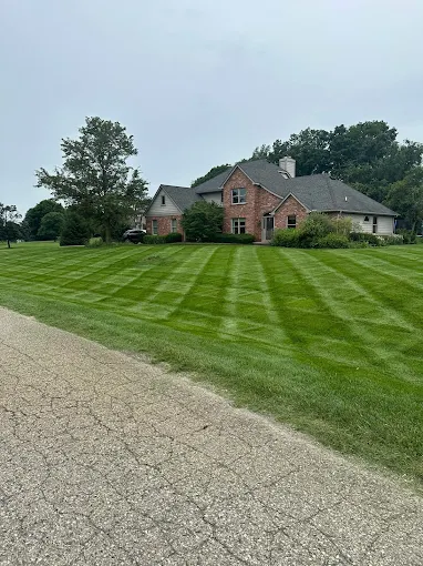 Lawn Maintenance